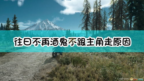 解读 《往日不再》酒鬼拒绝南下的原因分析